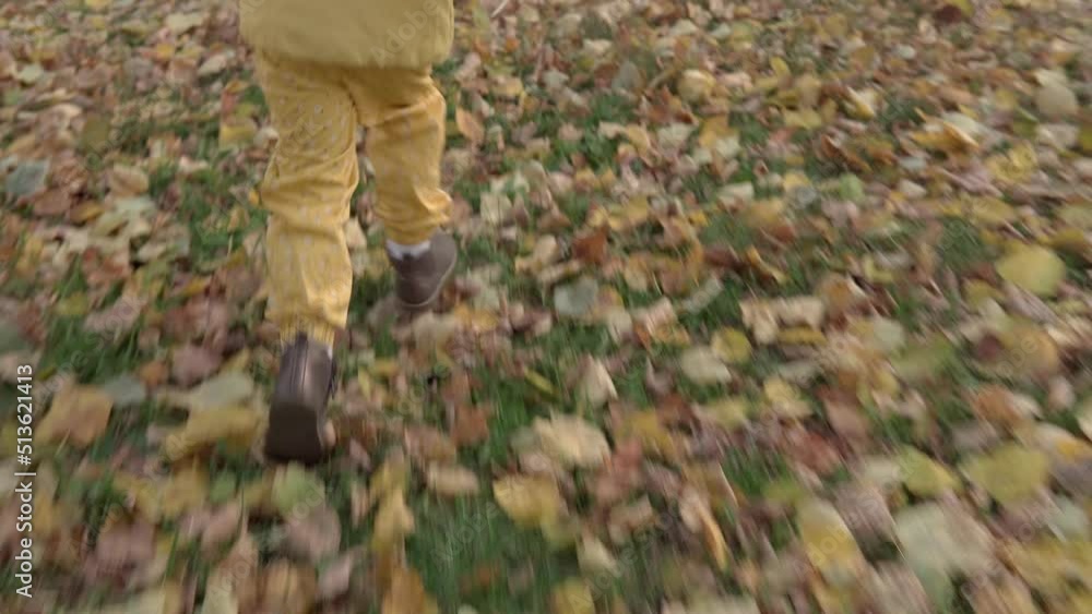 One happy funny active smilling friends child kid walking running legs shoes in park forest enjoying autumn falling leaves nature weather. Kid in yellow cloth playing hiding behind trees Slow motion One happy funny active smilling friends child kid walking running legs shoes in park forest enjoying autumn falling leaves nature weather. Kid in yellow cloth playing hiding behind trees Slow motion