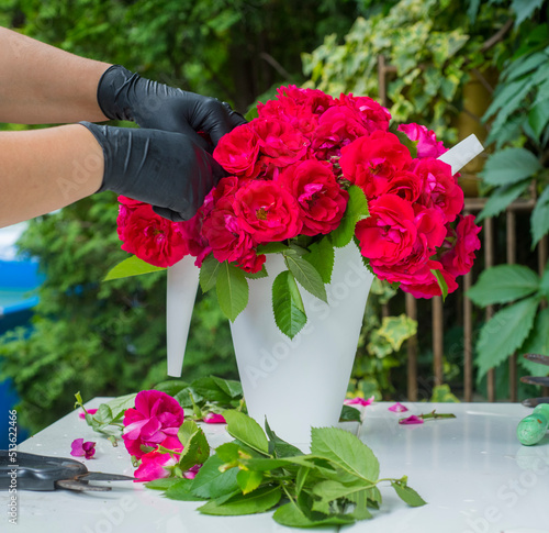 a person cuts red roses to create a bouquet against the backdrop of a garden