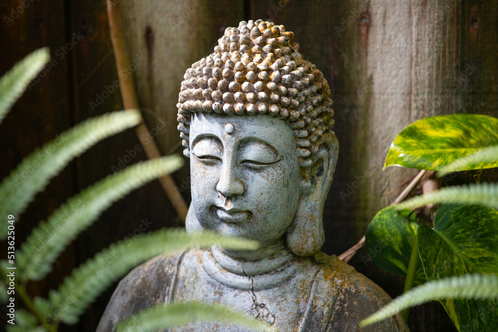 jardin zen avec des plantes, des fougères et une statue de Bouddha