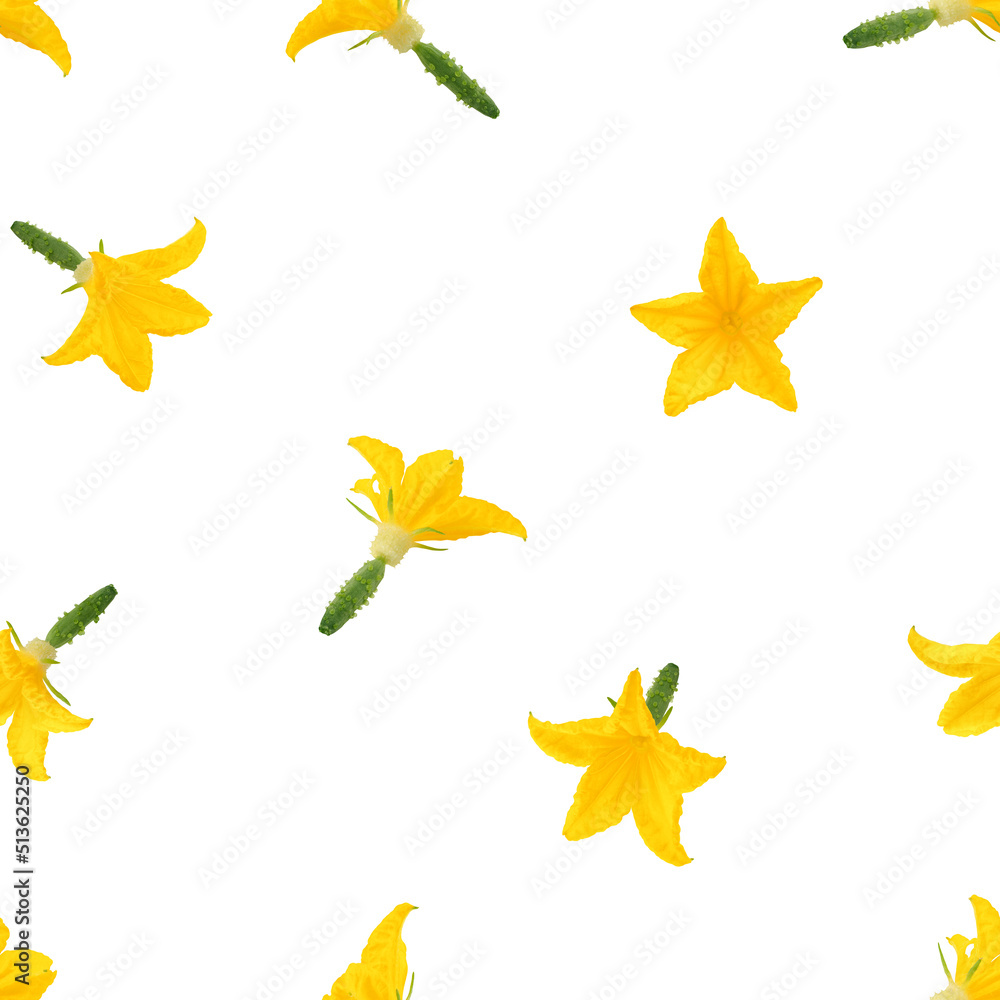 Fototapeta premium Cucumber flower isolated on white background, SEAMLESS, PATTERN