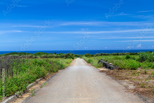 伊計島の道