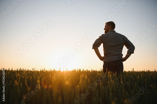 Back view of adult man farmer stand alone and look at sunset or sunrise in sky. Guy stand on wheat field. Ripe harvest time. Sun shines in sky