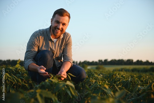 Agronomist inspecting soya bean crops growing in the farm field. Agriculture production concept. young agronomist examines soybean crop on field in summer. Farmer on soybean field. photo