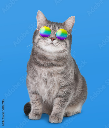 Funny cat in stylish sunglasses with rainbow lenses on blue background