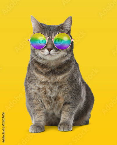 Funny cat in stylish sunglasses with rainbow lenses on yellow background © New Africa