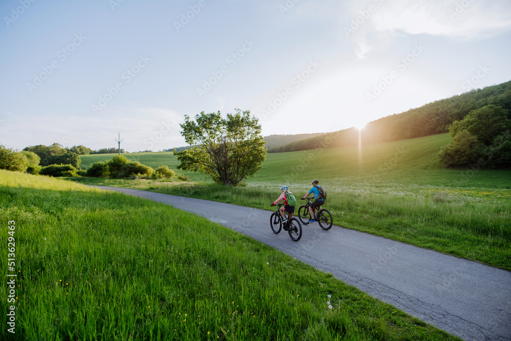 Active senior couple riding electric bicycles on trail at summer park, healthy lifestyle concept. Rear view. Active senior couple riding electric bicycles on trail at summer park, healthy lifestyle concept. Rear view.