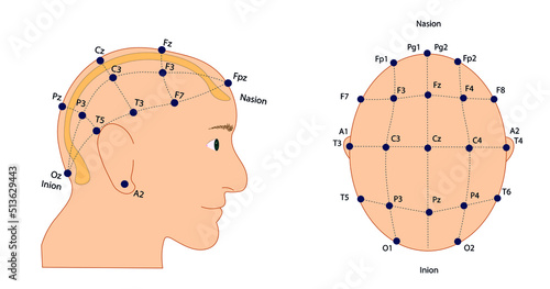 EEG (electroencephalography) Electrodes placement International System 10-20. Sagittal and transverse view 