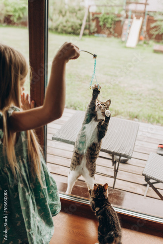 Kuril bobtail scratches by paw glass door of house, in house is sitting baby. Care for the animals. Let the cat in