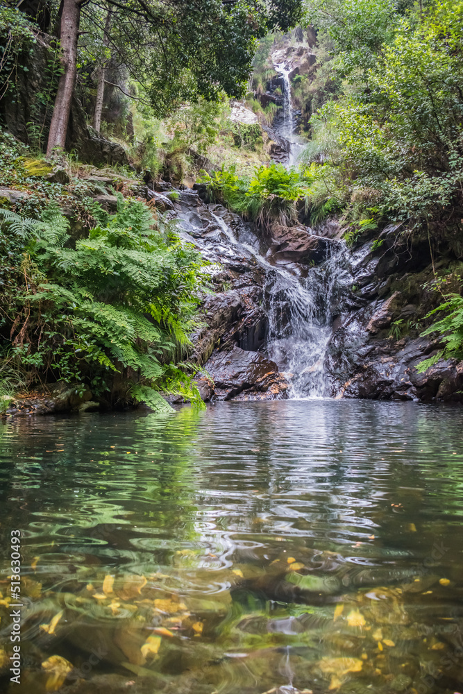 Transparent water in motion in the background waterfall das Paredes running on wet rocks, ferns and surrounding vegetation - Mortágua PORTUGAL Transparent water in motion in the background waterfall das Paredes running on wet rocks, ferns and surrounding vegetation - Mortágua PORTUGAL