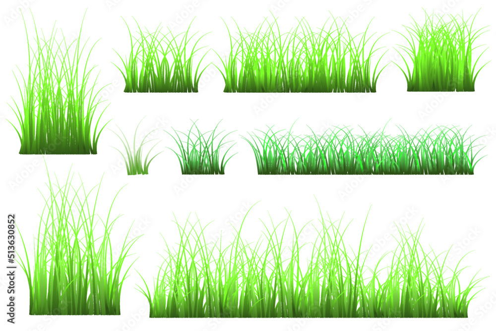 Fototapeta premium set of green grass