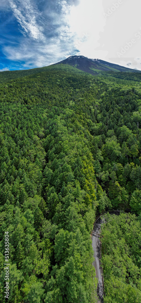 Fototapeta premium 滝沢林道から見た富士山