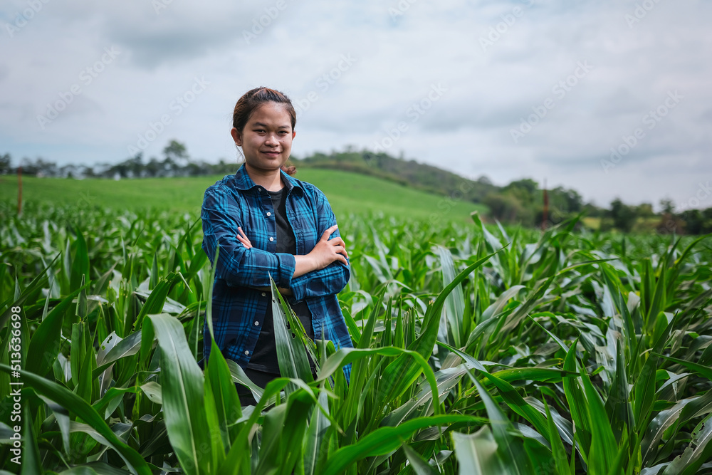 one Asia young girl farmer standing crossed arms on green corn field in rural area of thailand, agriculture and cultivation concepts one Asia young girl farmer standing crossed arms on green corn field in rural area of thailand, agriculture and cultivation concepts