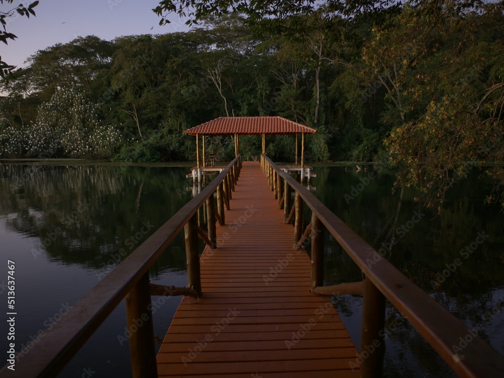 Obraz premium Pier no rio.