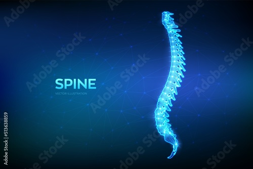 Spine. Back pain spine treatment, Physiotherapy, Diagnostics concept. Abstract Low polygonal wireframe organ for medical drugs, pharmacy and education design. Vector illustration.