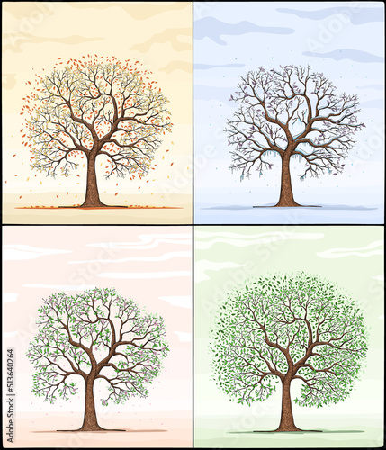 Four Seasons Trees Clipart and Vector with Spring, Summer, Fall and Winter Trees