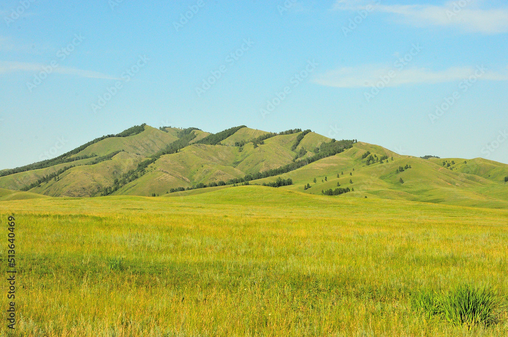 A high mountain with trees planted in rows along the slope at the top. A high mountain with trees planted in rows along the slope at the top.