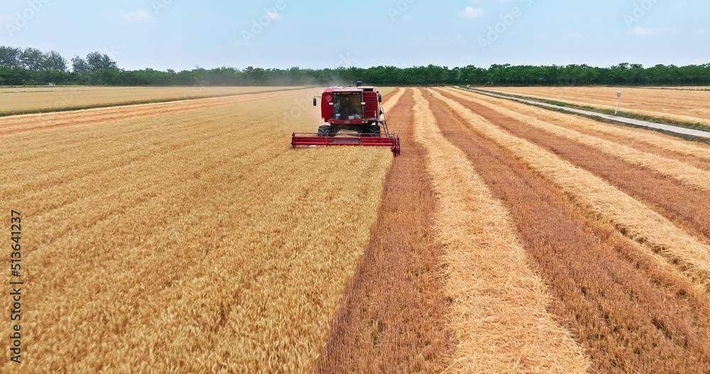 Harvesters work on the farm. Combine harvester agricultural machine is harvesting golden ripe wheat field. Agricultural scene. Harvesters work on the farm. Combine harvester agricultural machine is harvesting golden ripe wheat field. Agricultural scene.