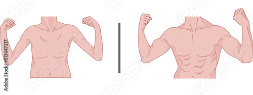 Vector image of a man without muscles and have muscles from exercise.