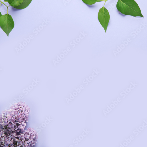 White and pink background with lilac flowers.