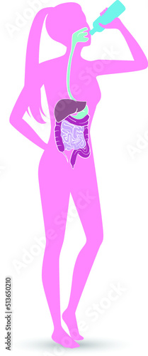 Human digestive system and drink water ,vector illustration design.