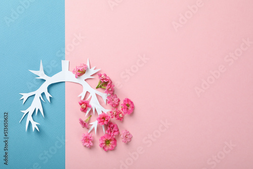 World lung day or lung healthy concept on two tone background