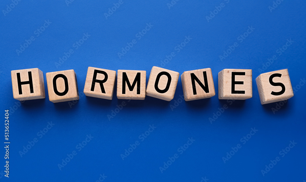 Word HORMONES made of cubes on blue background Word HORMONES made of cubes on blue background