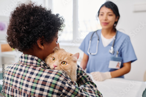 Unrecognizable Black boy bringing fluffy ginger cat to vet for health check up, selective focus shot
