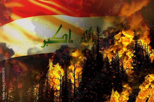 Big forest fire fight concept, natural disaster - infernal fire in the trees on Iraq flag background - 3D illustration of nature