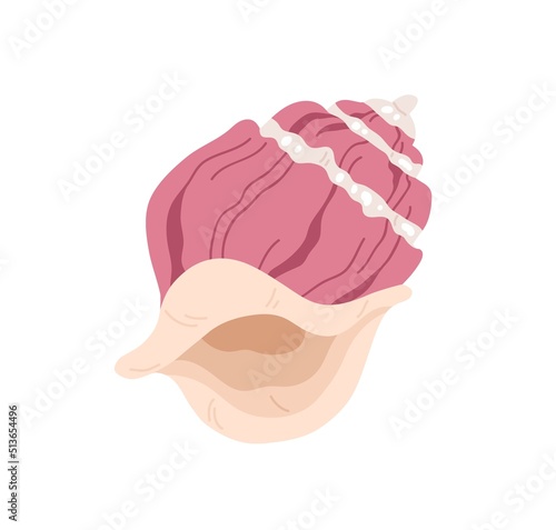 Sea shell. Marine swirled seashell. Exotic undersea mollusc. Ocean underwater...