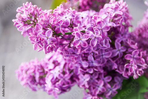 Fototapeta Naklejka Na Ścianę i Meble -  Spring blossom. Blooming lilac bush with tender tiny flower