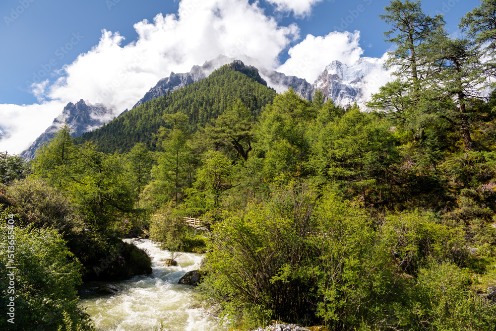 Green alpine forest and the mountain river in the valley surrounded by tall mountains with snowy tops