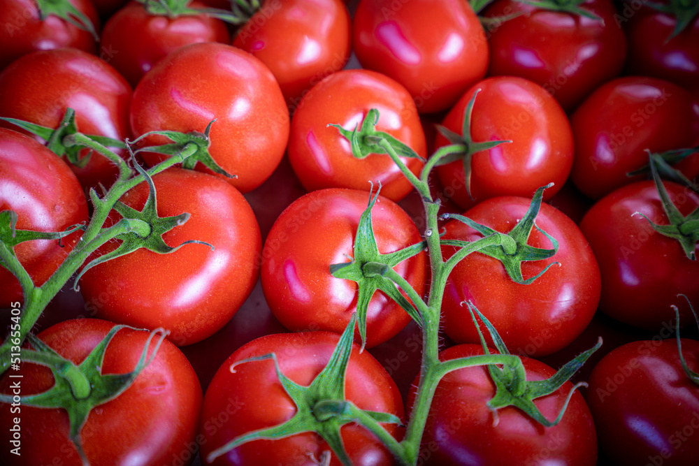 red tomatoes background. Group of tomatoes red tomatoes background. Group of tomatoes