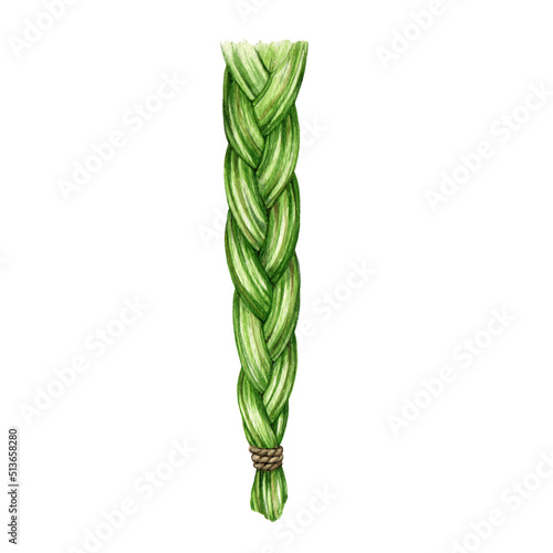 Sweetgrass braid watercolor illustration. Hand drawn aromatic herb for spiritual practice, healing, relax. Sweet grass braid for smudging. Aromatic plant. White background photo
