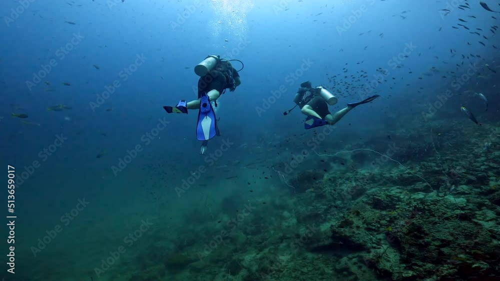Under water film - Large school of small Fusilier fish with two scuba divers swimming away from camera - Sail Rock Island in Thailand Under water film - Large school of small Fusilier fish with two scuba divers swimming away from camera - Sail Rock Island in Thailand