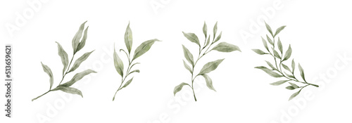 Greenery Leaves Watercolor Hand Drawn. Set of green leaf in watercolor style isolated on white background. Decorative beauty elegant illustration collection for design
