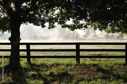 Morning mist in a paddock beyond a post and rail wooden fence photo