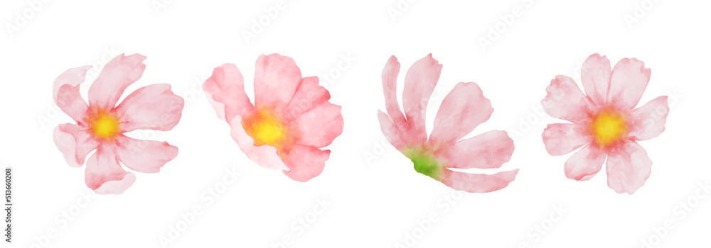Cosmos Flowers Watercolor set. Collection of beautiful pink blossom flowers in watercolor style. Spring Floral design vector illustration Cosmos Flowers Watercolor set. Collection of beautiful pink blossom flowers in watercolor style. Spring Floral design vector illustration
