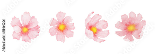 Cosmos Flowers Watercolor set. Collection of beautiful pink blossom flowers in watercolor style. Spring Floral design vector illustration © ABC Vector