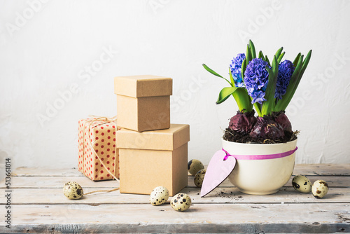 Cardboard boxes, potted blue hyacinths on a table.