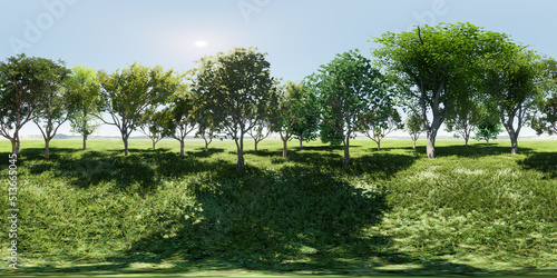 Fototapeta Naklejka Na Ścianę i Meble -  360 Equirectangular Meadow Tree Forest, virtual set, 8k, HDRI.