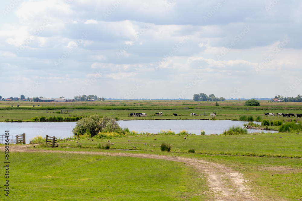 Summer countryside landscape with flat and low land, Typical Dutch polder with green meadow and the fence, Small canal or ditch with wooden bridge between the grass field, Noord Holland, Netherlands. Summer countryside landscape with flat and low land, Typical Dutch polder with green meadow and the fence, Small canal or ditch with wooden bridge between the grass field, Noord Holland, Netherlands.