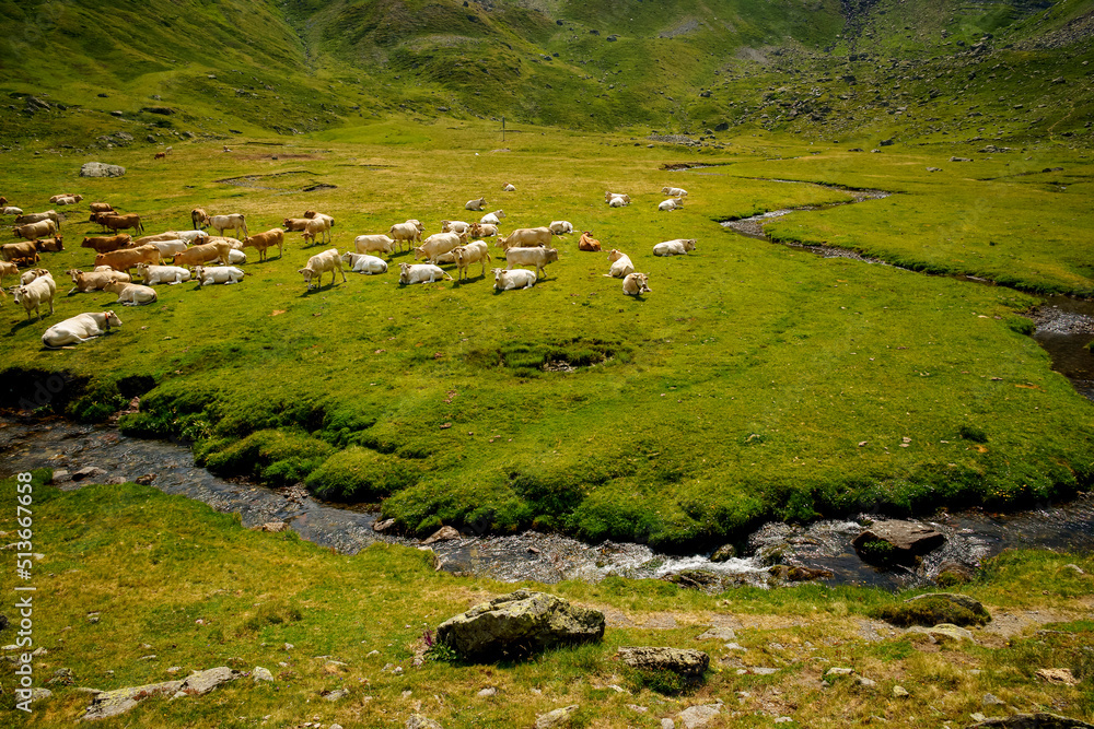 La Rinconada.Canal Roya.Pirineos.Huesca.Cordillera pirenaica.España. La Rinconada.Canal Roya.Pirineos.Huesca.Cordillera pirenaica.España.