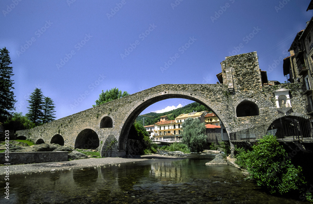Puente romanico sobre el rio Ter(pont Nou. s.XII).Camprodon.Pirineos,Girona.Catalunya.España.