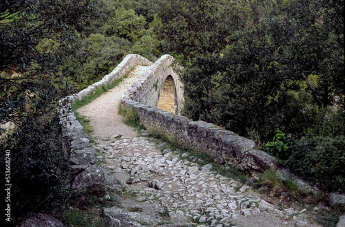 Puente romanico sobre el rio Llierca.Montagut de Fluvià.Garrotxa.Cordillera Pirenaica.Girona. España. photo