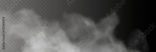 Fog or smoke isolated transparent special effect. White vector cloudiness, mist or smog background. Vector illustration