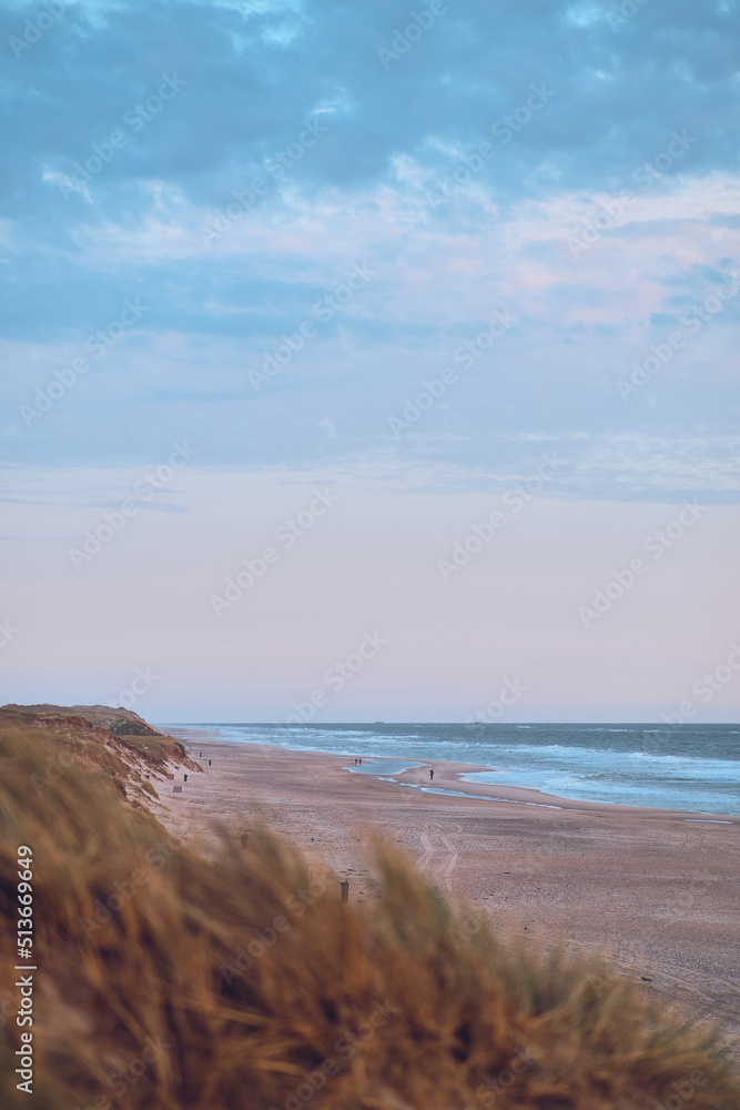 sandy beach at the danish north sea coast. High quality photo