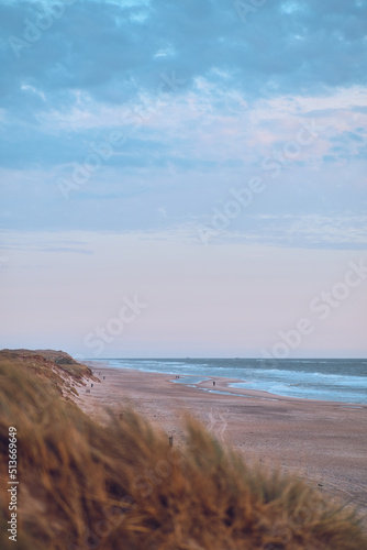 sandy beach at the danish north sea coast. High quality photo