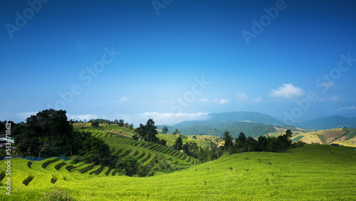 Beautiful step of rice terrace paddle field  Panorama View at Chiangmai  Thailand