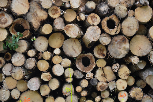 holz brennholz natur hjaufen scheite kaminholz energietr  ger feuerholz feuer  kaminholz raummeter