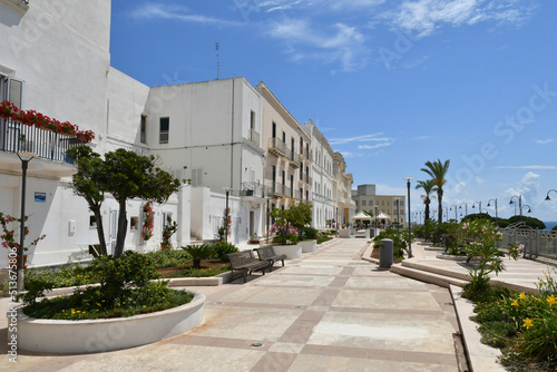 The avenue of a street in Santa Cesarea Terme, an Apulian village in the province of Lecce in Italy.